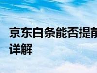 京东白条能否提前还款？还款方式及注意事项详解