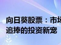 向日葵股票：市场热门投资焦点，投资者争相追捧的投资新宠