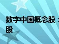 数字中国概念股：领跑新一轮科技浪潮的潜力股