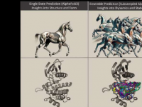预测蛋白质动力学的新技术可能会成为药物发现的重大突破