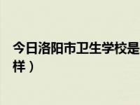 今日洛阳市卫生学校是公办还是民办（洛阳卫生学校，怎么样）