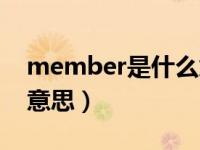 member是什么意思翻译（member是什么意思）