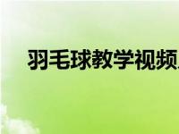 羽毛球教学视频儿童（羽毛球教案全集）