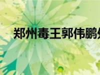 郑州毒王郭伟鹏处罚 张某东究竟干了啥）