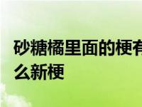 砂糖橘里面的梗有什么用（炫砂糖橘到底是什么新梗