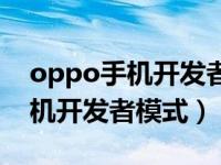 oppo手机开发者模式让游戏流畅（oppo手机开发者模式）