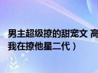 男主超级撩的甜宠文 高糖宠溺深情甜宠文娇嗔大魔王总以为我在撩他星二代）