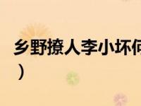 乡野撩人李小坏何玉雪李雪梅下载（乡野撩人）