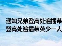 遥知兄弟登高处遍插茱萸少一人是什么传统节日（遥知兄弟登高处遍插茱萸少一人少的是）