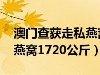 澳门查获走私燕窝 云南瑞丽边检站查获走私燕窝1720公斤）