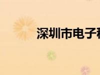 深圳市电子税务局网上申报系统