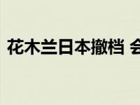 花木兰日本撤档 会跳舞的仙女运气不会太差