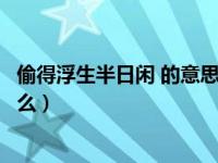 偷得浮生半日闲 的意思（偷得浮生半日闲的下一句意思是什么）