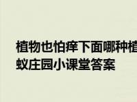 植物也怕痒下面哪种植物被称为痒痒树 2020年11月9日蚂蚁庄园小课堂答案