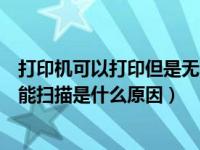 打印机可以打印但是无法扫描怎么回事（打印机可以打印不能扫描是什么原因）