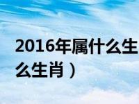 2016年属什么生肖的宝宝几岁（2016年属什么生肖）