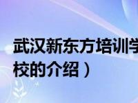 武汉新东方培训学校（关于武汉新东方培训学校的介绍）