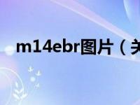 m14ebr图片（关于m14ebr图片的介绍）