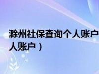 滁州社保查询个人账户缴费明细查询系统（滁州社保查询个人账户）