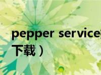 pepper service插件（pepper service官方下载）