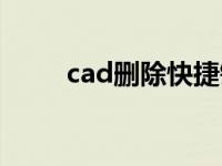 cad删除快捷键（cad删除快捷键）