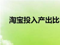 淘宝投入产出比公式（淘宝投入产出比）