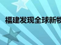 福建发现全球新物种 命名为“郭亮珠步甲”