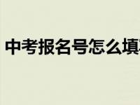 中考报名号怎么填写（中考报名号怎么查询）