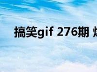 搞笑gif 276期 爆笑动态图只有我最摇摆