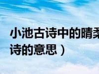 小池古诗中的晴柔是什么意思（欧阳修小池古诗的意思）