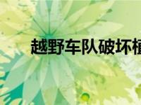 越野车队破坏植被 恢复需要10年以上