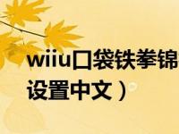 wiiu口袋铁拳锦标赛（口袋铁拳锦标赛怎么设置中文）