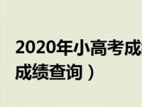 2020年小高考成绩查询网站（2020年小高考成绩查询）