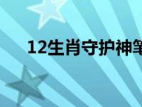 12生肖守护神笔趣阁（12生肖守护神）