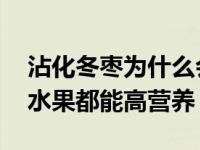 沾化冬枣为什么会成为家乡的特产 不是所有水果都能高营养）