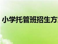 小学托管班招生方案（寒假托管班招生方案）