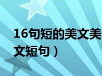 16句短的美文美句（65句唯美岁月文字的美文短句）