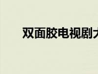 双面胶电视剧大结局 双面胶剧情简介