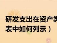 研发支出在资产类下吧（研发支出在资产负债表中如何列示）