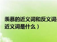 羡慕的近义词和反义词是什么（羡慕的近义词是什么 羡慕的近义词是什么）