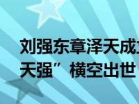 刘强东章泽天成立新公司！“京东”之后 “天强”横空出世