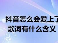 抖音怎么会爱上了他并决定跟他回家是哪首歌 歌词有什么含义