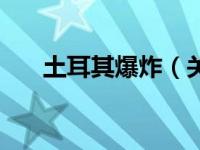 土耳其爆炸（关于土耳其爆炸的介绍）