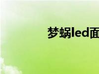 梦蜗led面罩有用吗（梦蜗）