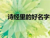 诗经里的好名字大全（诗经里的好名字）