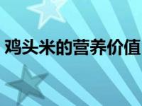 鸡头米的营养价值（鸡头米有什么营养价值）