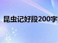 昆虫记好段200字赏析100字（昆虫记好段）