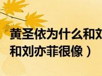 黄圣依为什么和刘亦菲怎么长那么像（黄圣依和刘亦菲很像）