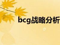 bcg战略分析 BCG大规模敏捷避坑