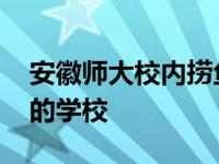 安徽师大校内捞鱼做全鱼宴 别看了又是人家的学校